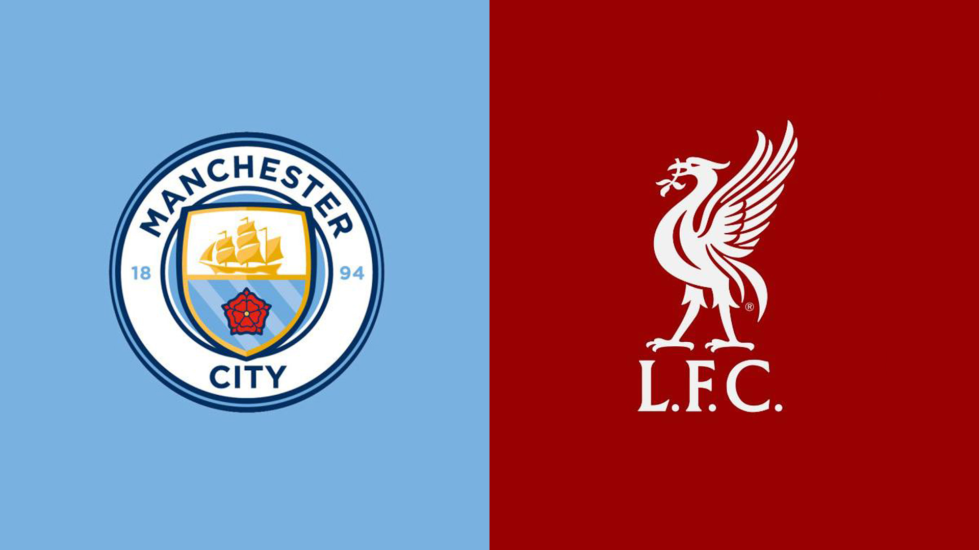 不仅展现出 不仅展现出